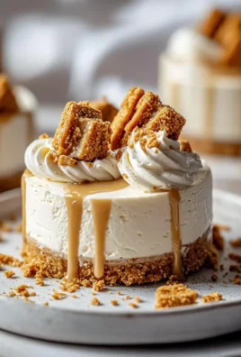 No Bake Biscoff Cheesecake